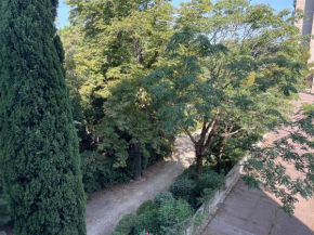 MIchelet st jacques 2